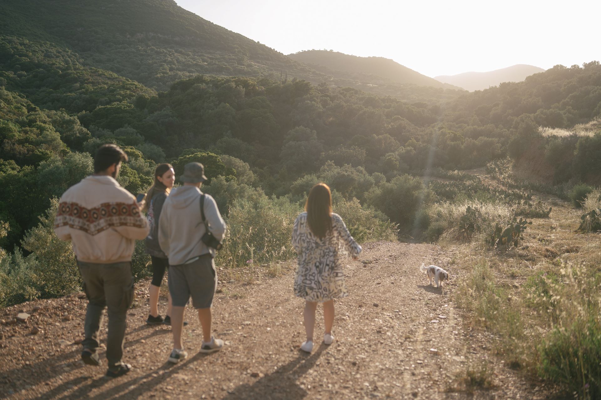 Hiking to the vineyards